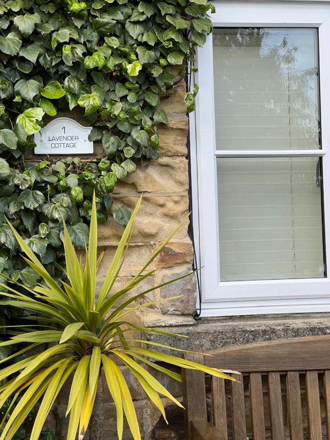 Lavender Cottage , Grewelthorpe , Nr Masham Ripon Extérieur photo